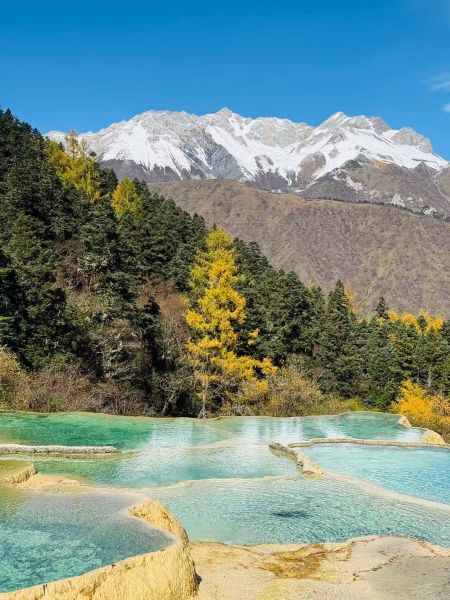 1761881936100956.jpg 黄龙.jpg